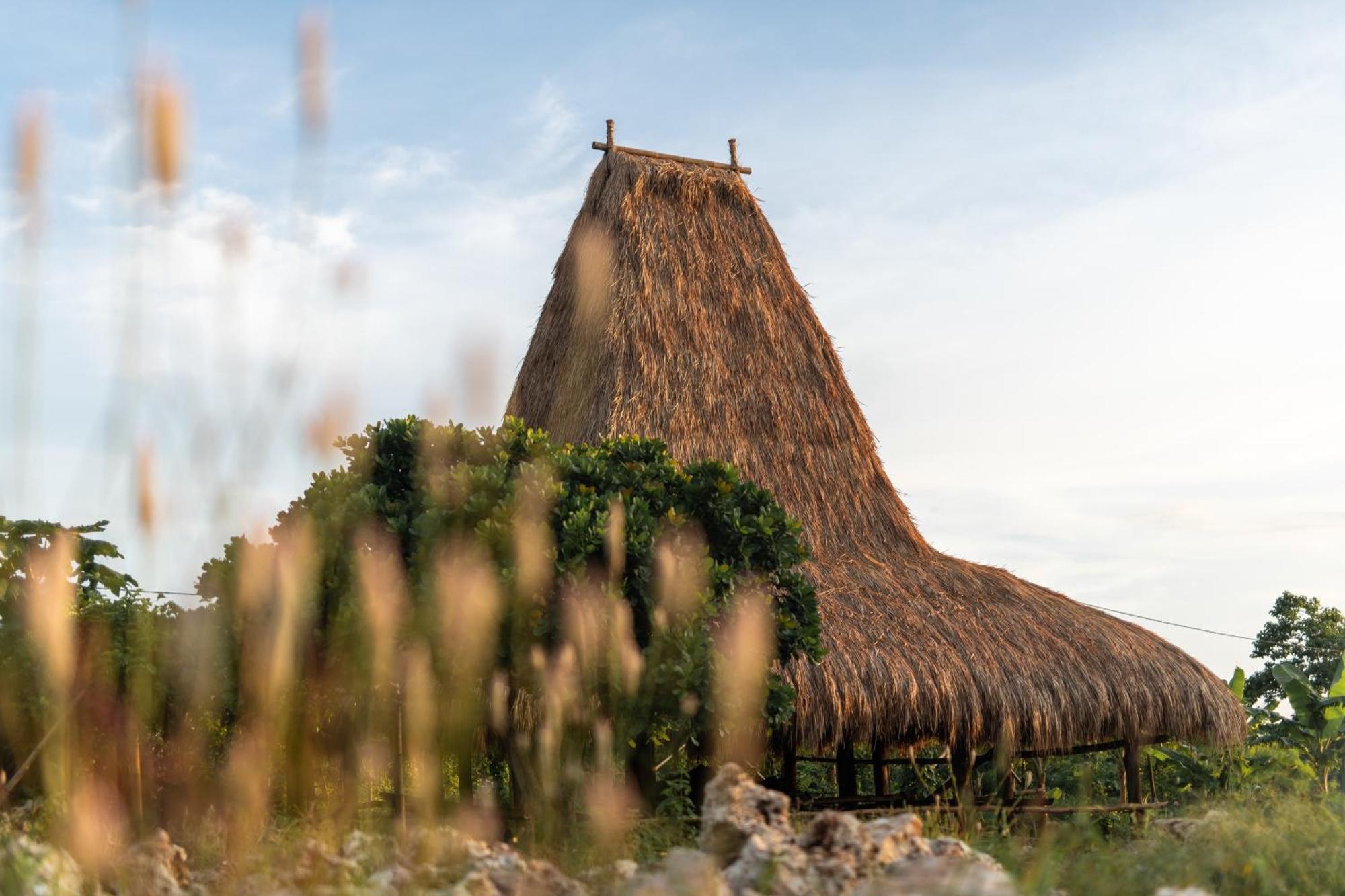 Cap Karoso Sumba - A Member Of Design Hotels Tambolaka ภายนอก รูปภาพ